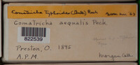 Image Associated With the Occurence